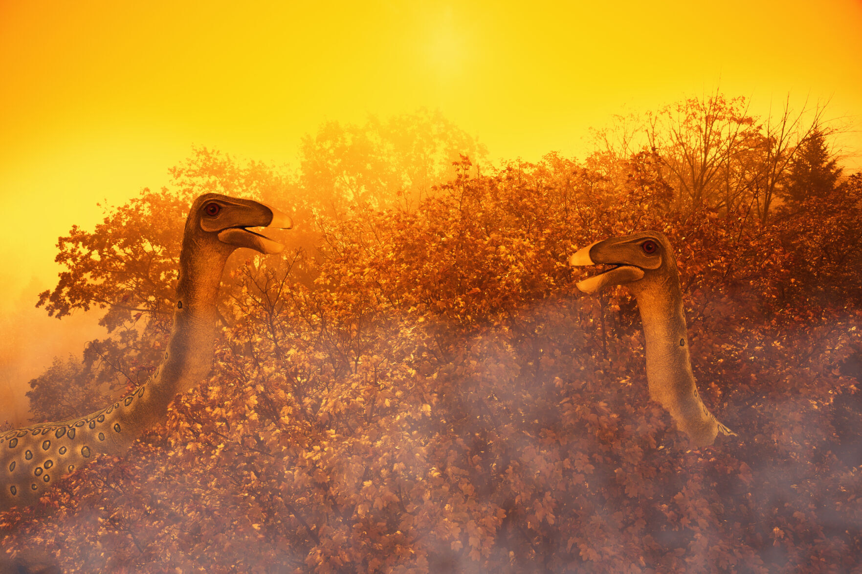 Chiffres d'ornithomy